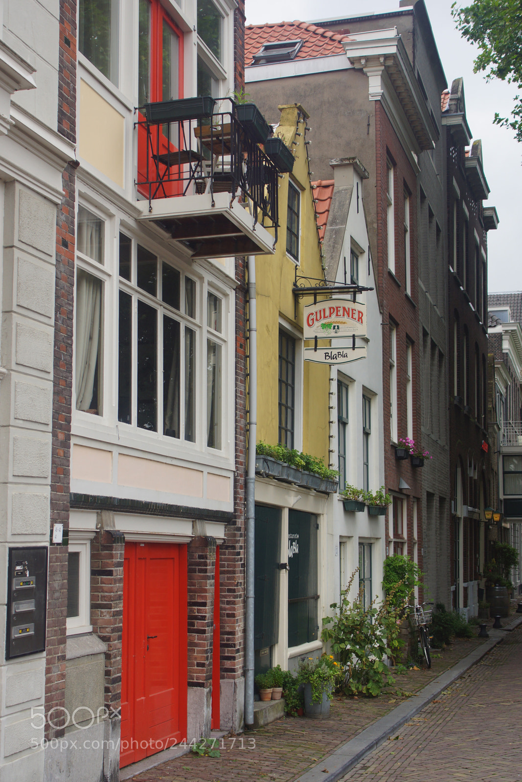 Sony SLT-A77 sample photo. Holland photography