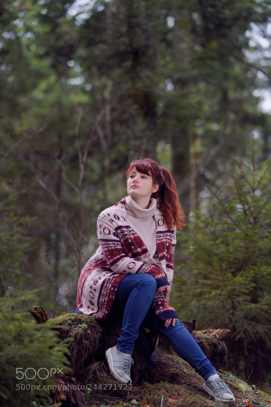 Pentax K-1 sample photo. In the woods photography