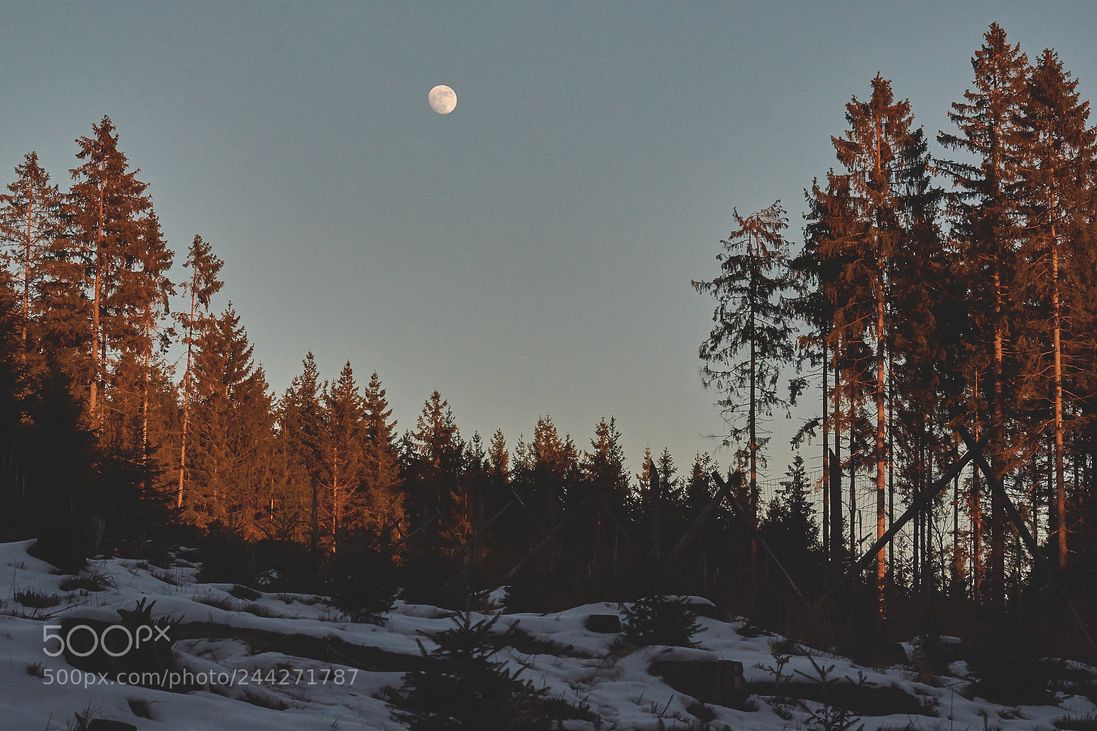 Nikon D7100 sample photo. Zlatá hodinka photography