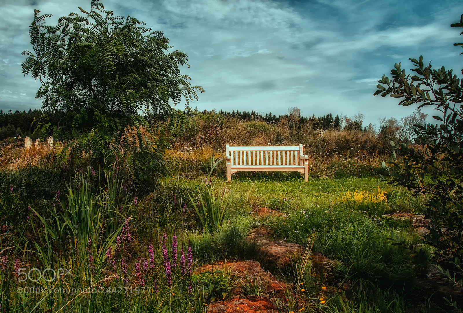 Nikon D7100 sample photo. Hidden bench photography