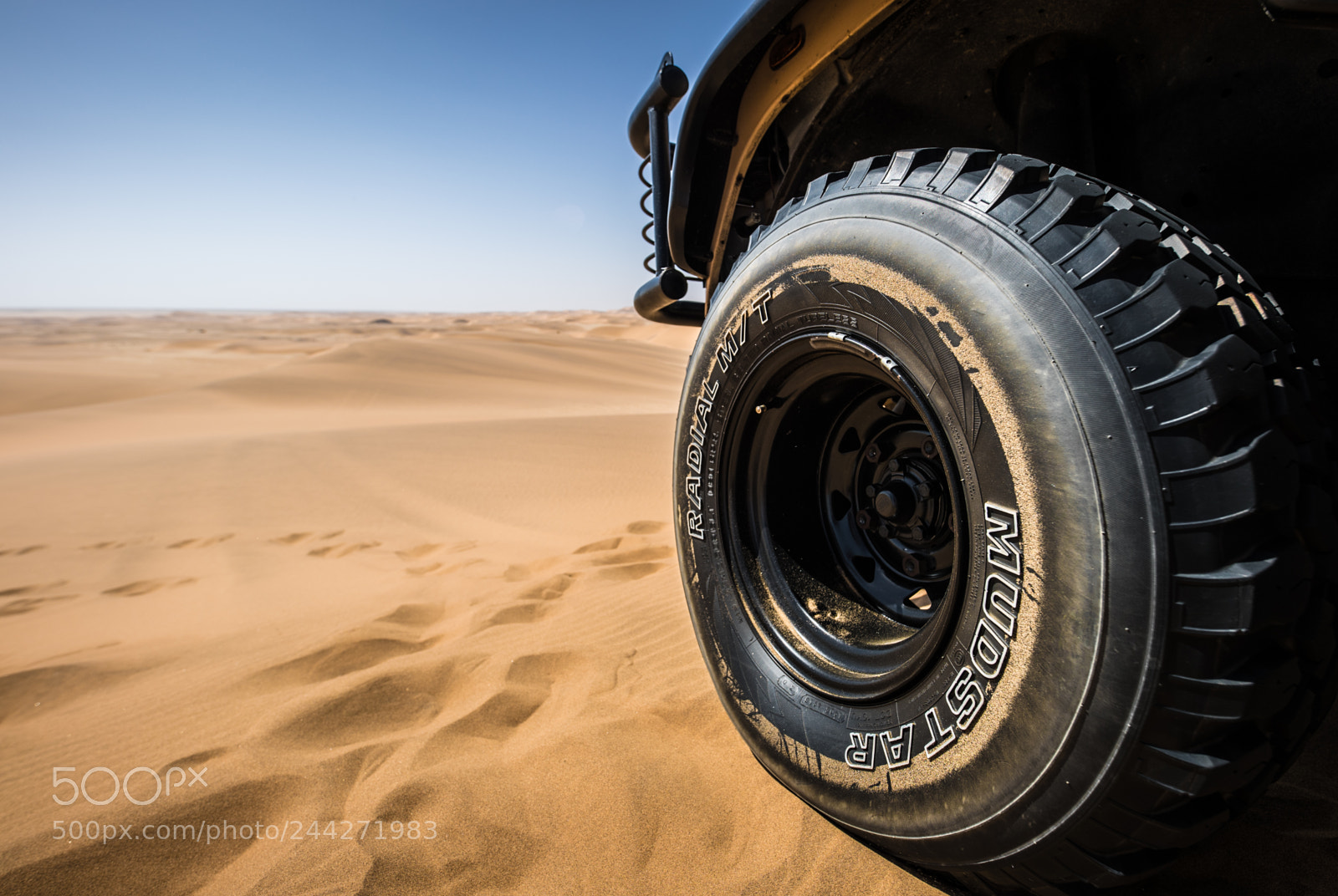 Canon EOS-1D X Mark II sample photo. Into the dunes photography
