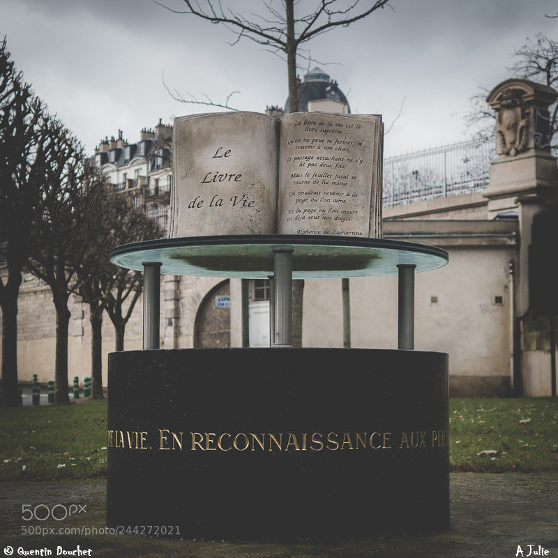 Sony Cyber-shot DSC-RX100 II sample photo. St le aux donneurs photography