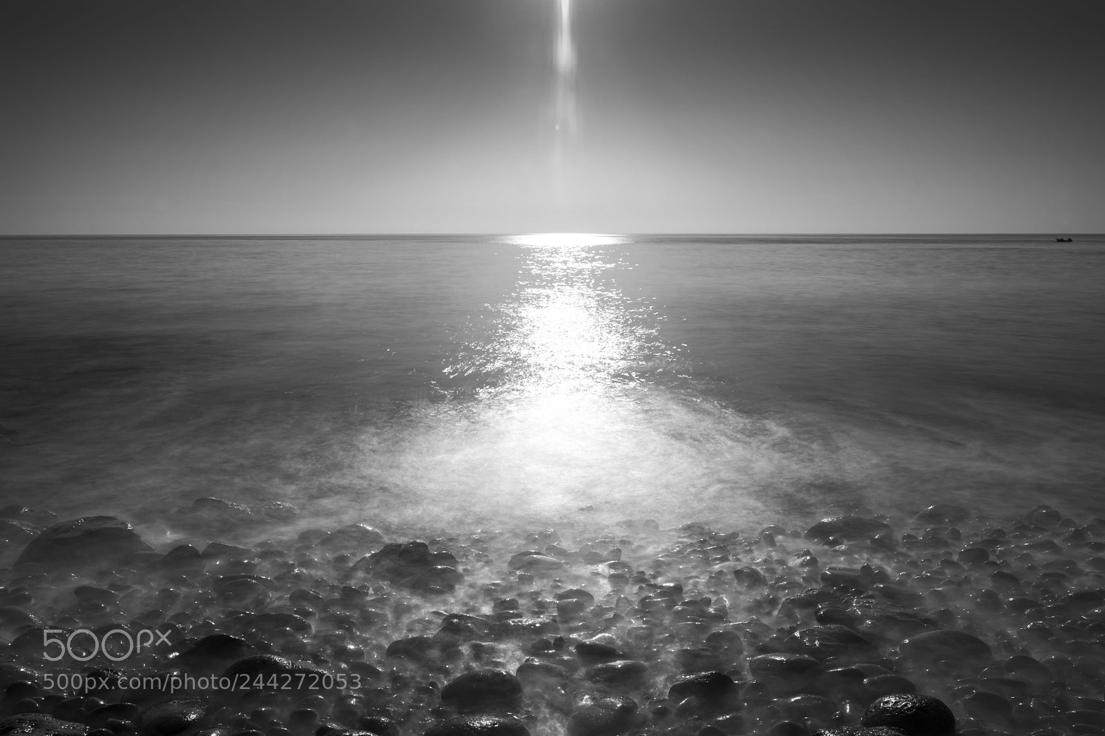 Sony a7 II sample photo. ...into the light photography