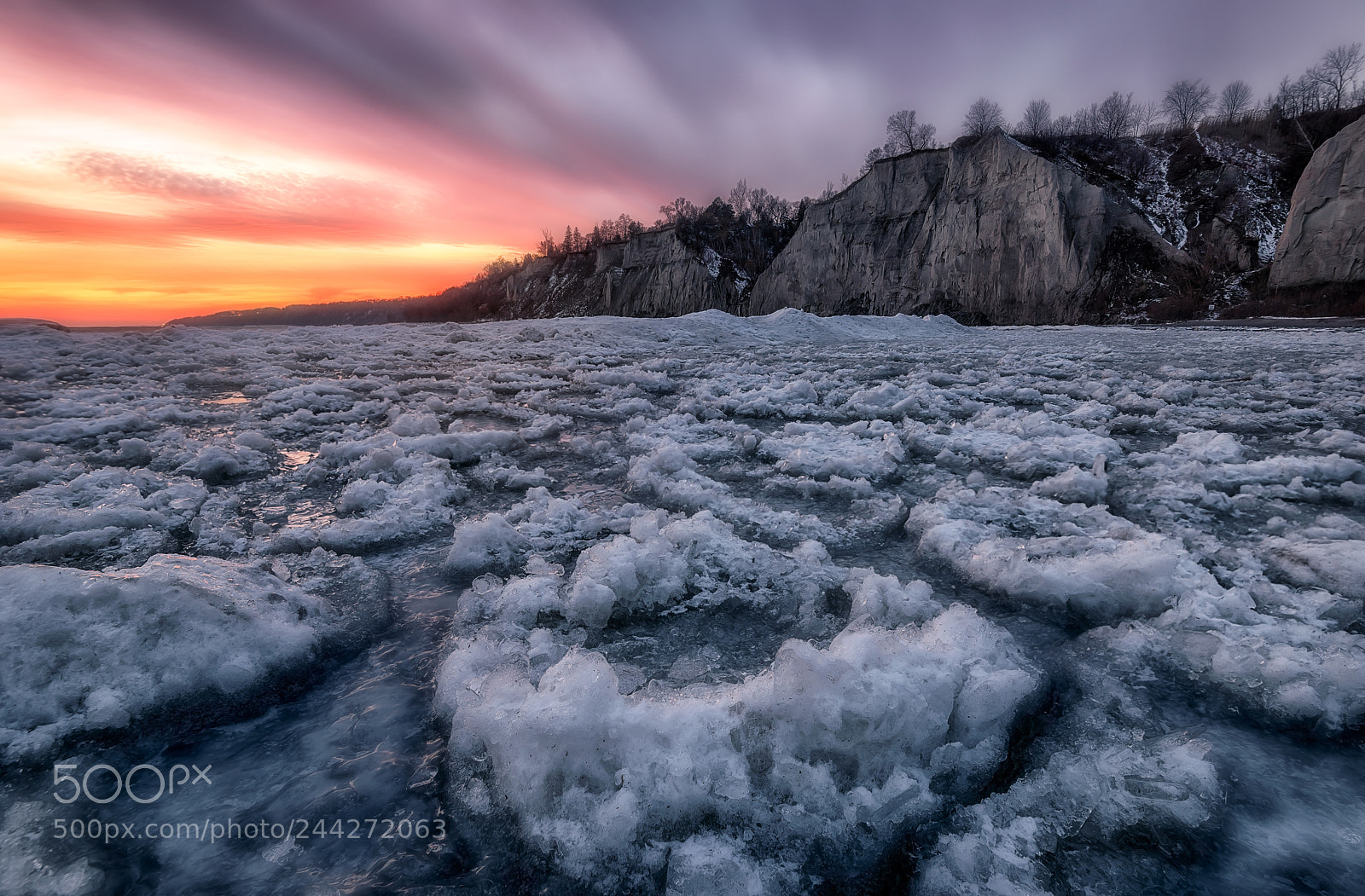 Nikon D810 sample photo. Scarborough bluffs photography