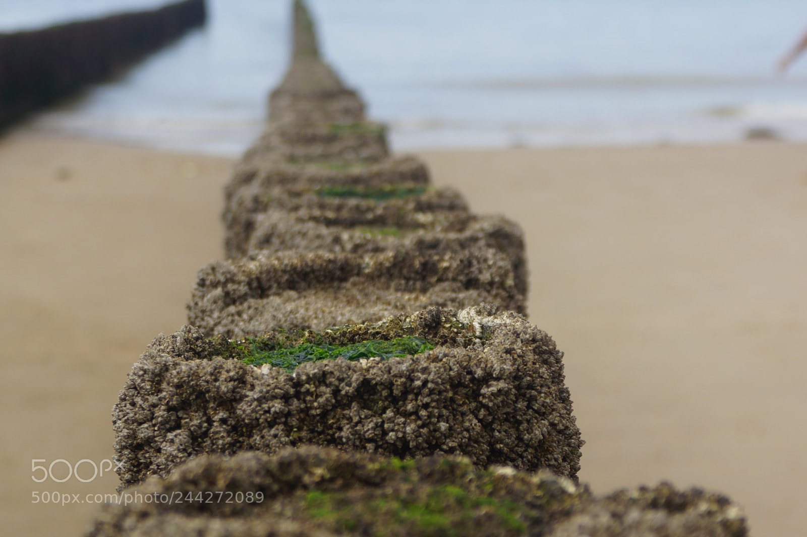 Sony SLT-A77 sample photo. Buhnen an der nordsee photography