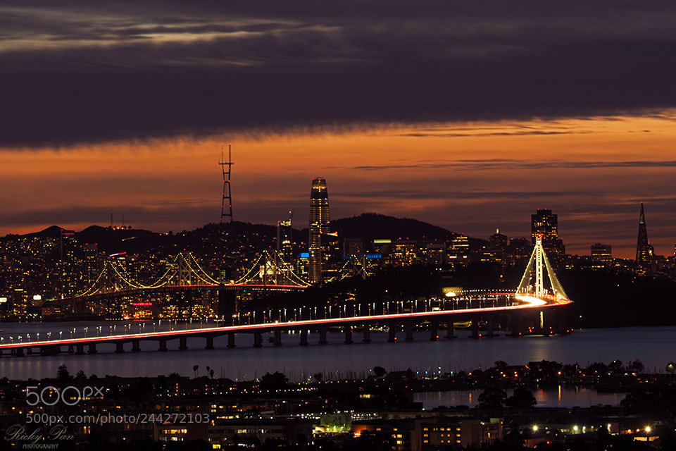 Olympus OM-D E-M1 Mark II sample photo. San francisco bay photography