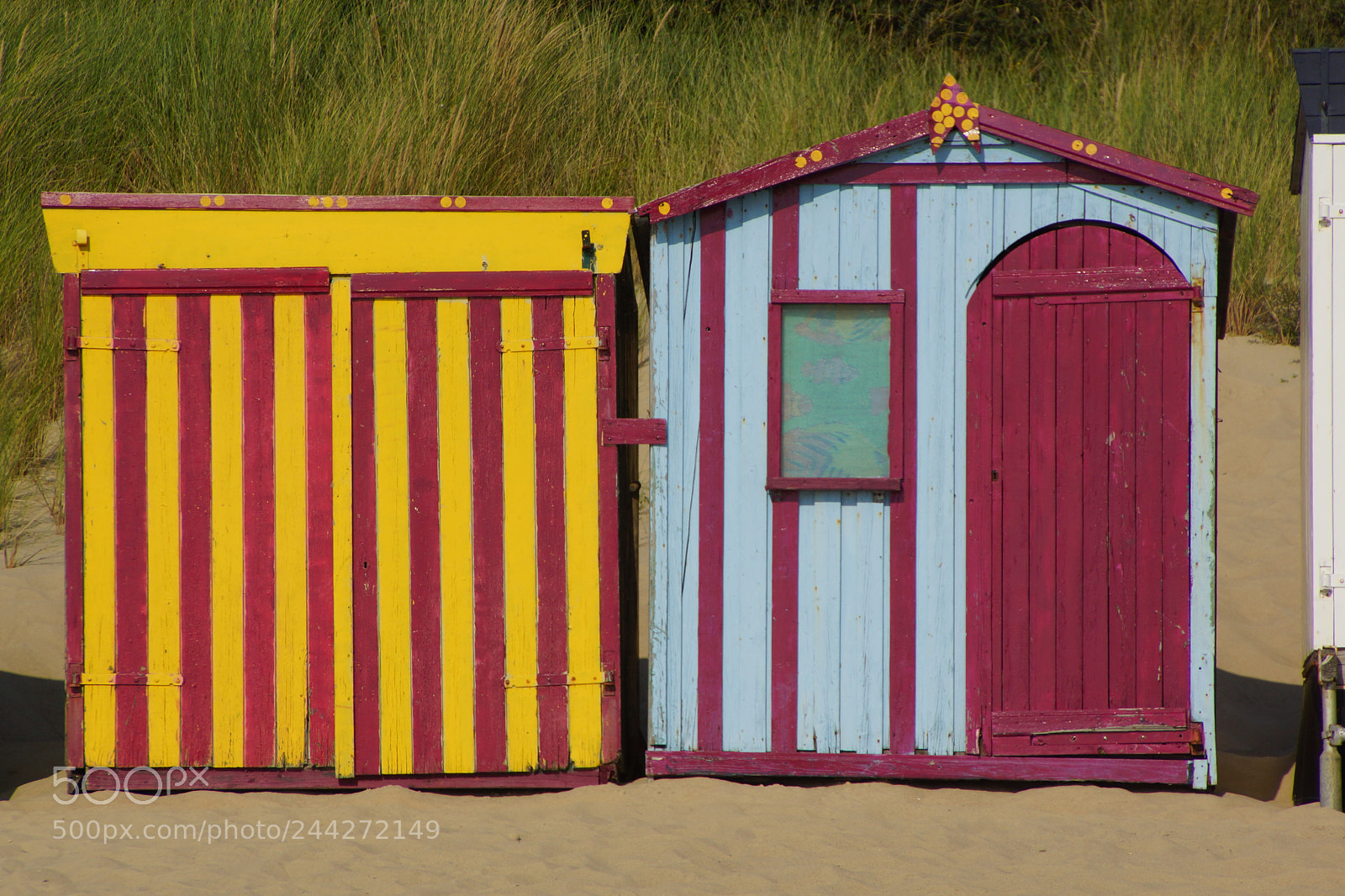 Sony SLT-A77 sample photo. Holland photography