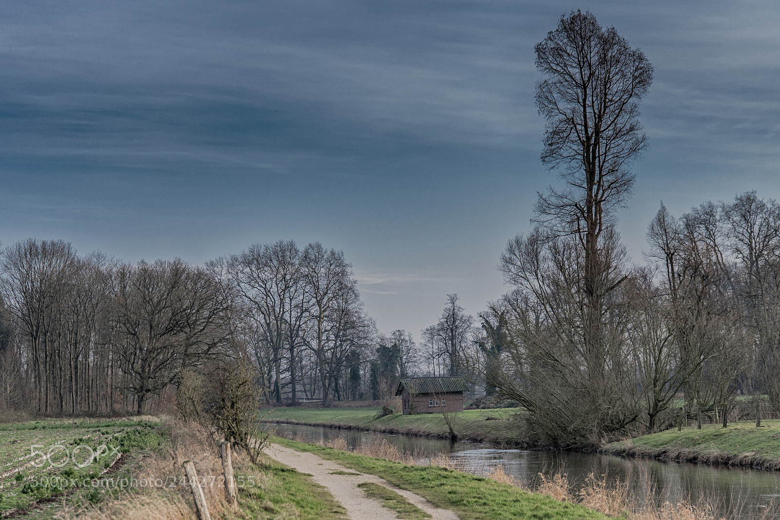 Nikon D600 sample photo. Niers twh photography