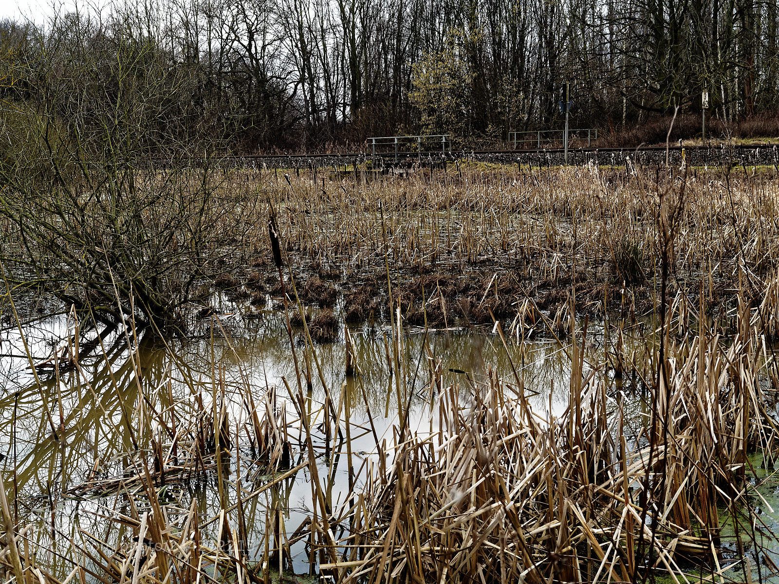 Olympus OM-D E-M5 sample photo. Braunschweig, gebiet südsee photography