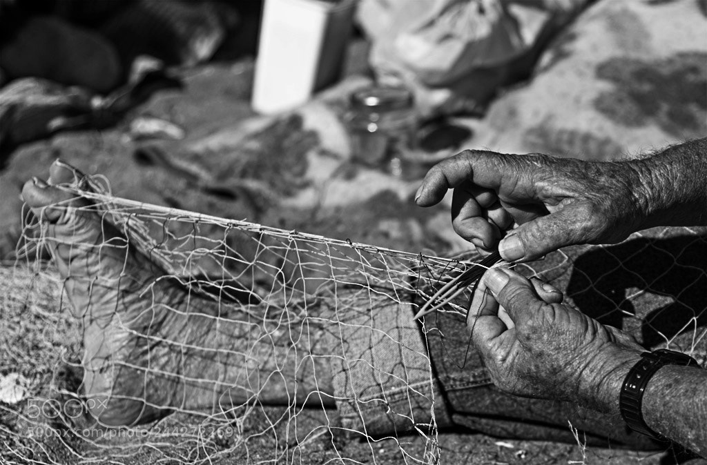 Nikon D90 sample photo. "network" photography