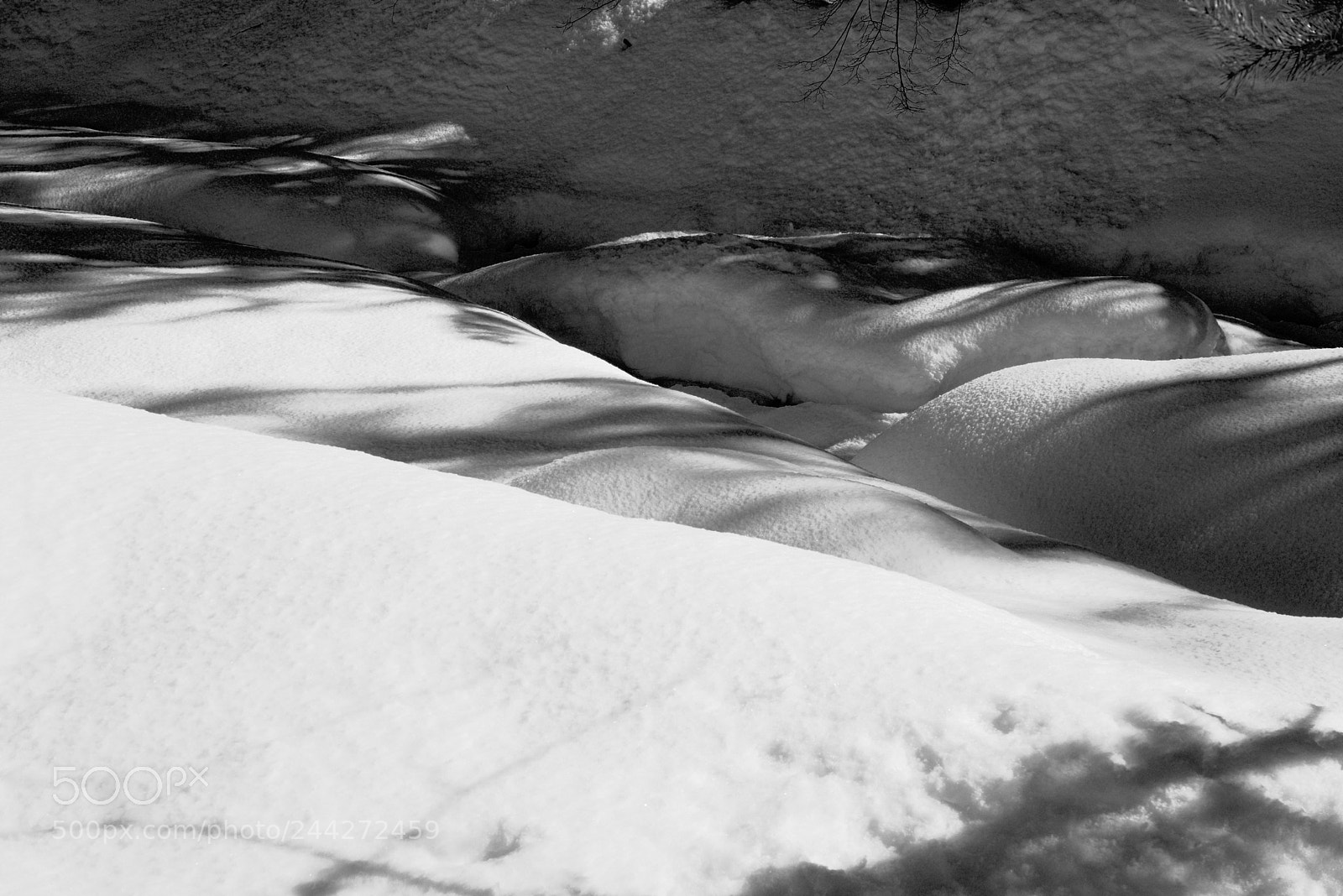 Sony Alpha NEX-7 sample photo. Shades on snow photography