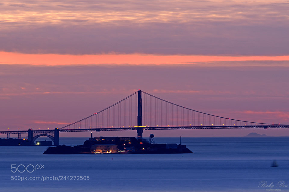 Olympus OM-D E-M1 Mark II sample photo. The golden gate photography
