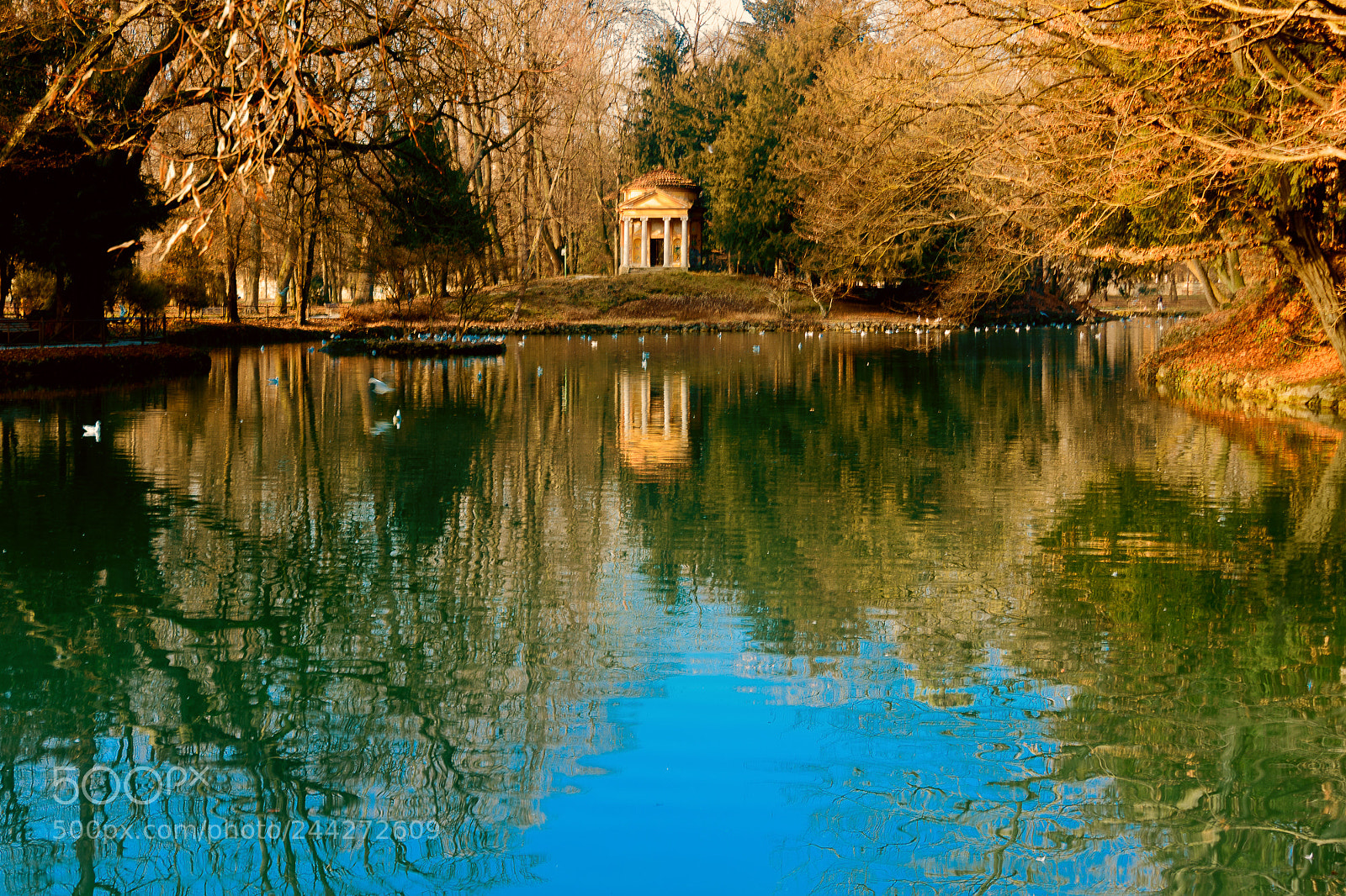 Nikon D500 sample photo. Reflection photography