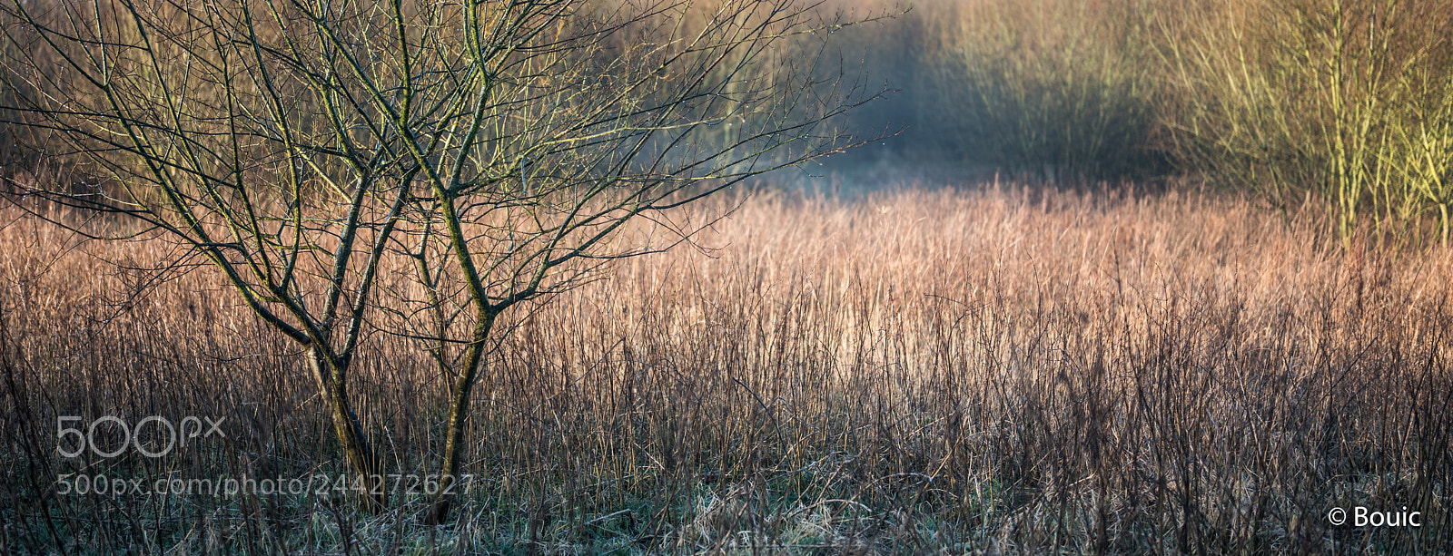 Leica SL (Typ 601) sample photo. Winter morning light photography