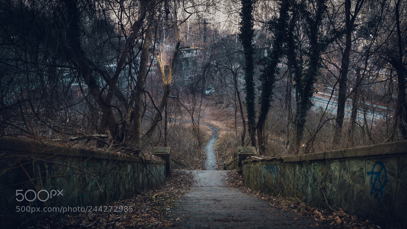 Panasonic Lumix DMC-GX85 (Lumix DMC-GX80 / Lumix DMC-GX7 Mark II) sample photo. Stairway to hell at photography