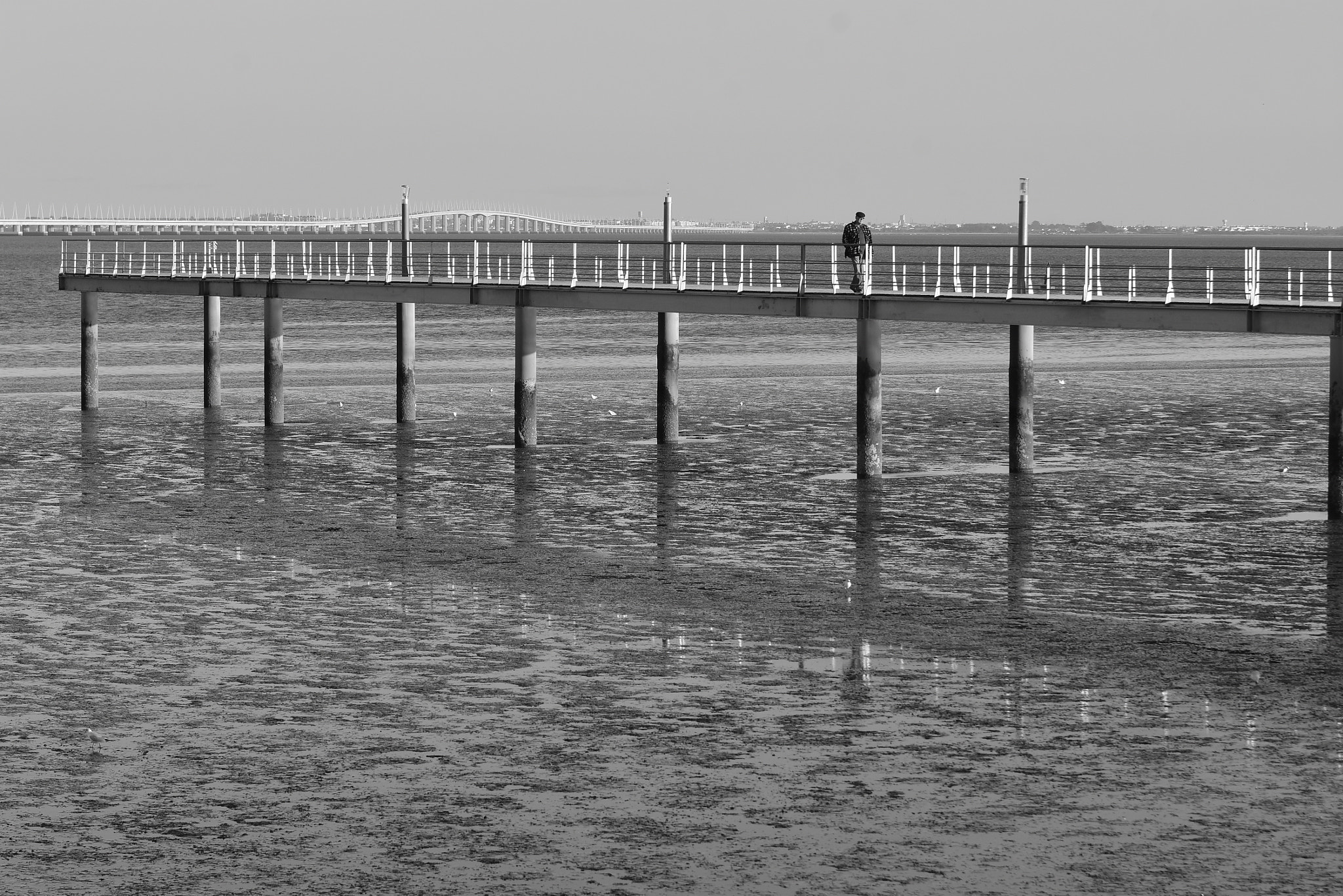 Sigma 70-200mm F2.8 EX DG OS HSM sample photo. Walk in river! photography