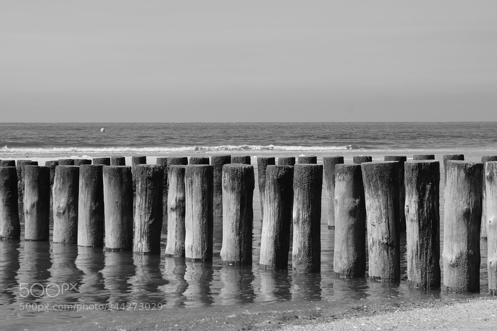 Sony SLT-A77 sample photo. Buhnen an der nordsee photography