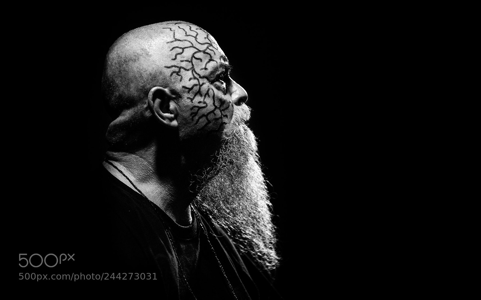 Canon EOS-1D X sample photo. Untitled photography