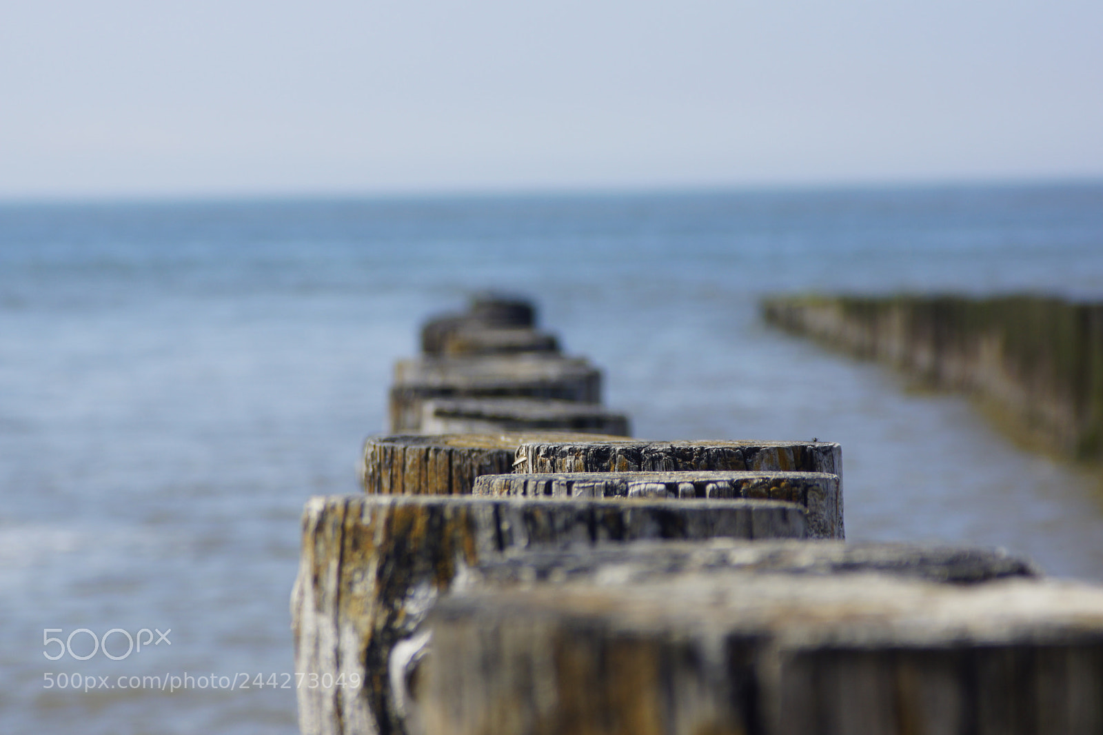 Sony SLT-A77 sample photo. Buhnen an der nordsee photography
