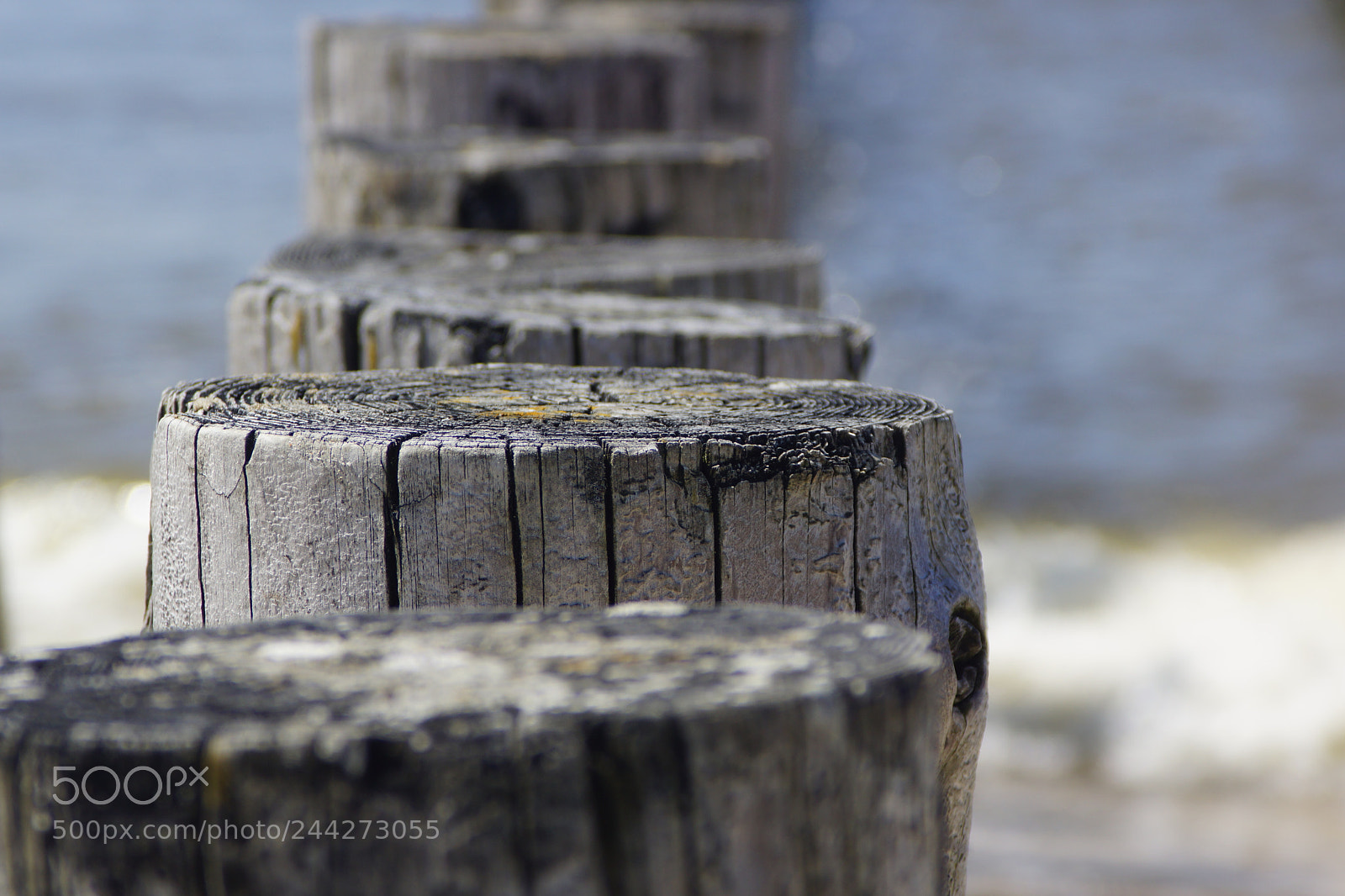 Sony SLT-A77 sample photo. Buhnen an der nordsee photography
