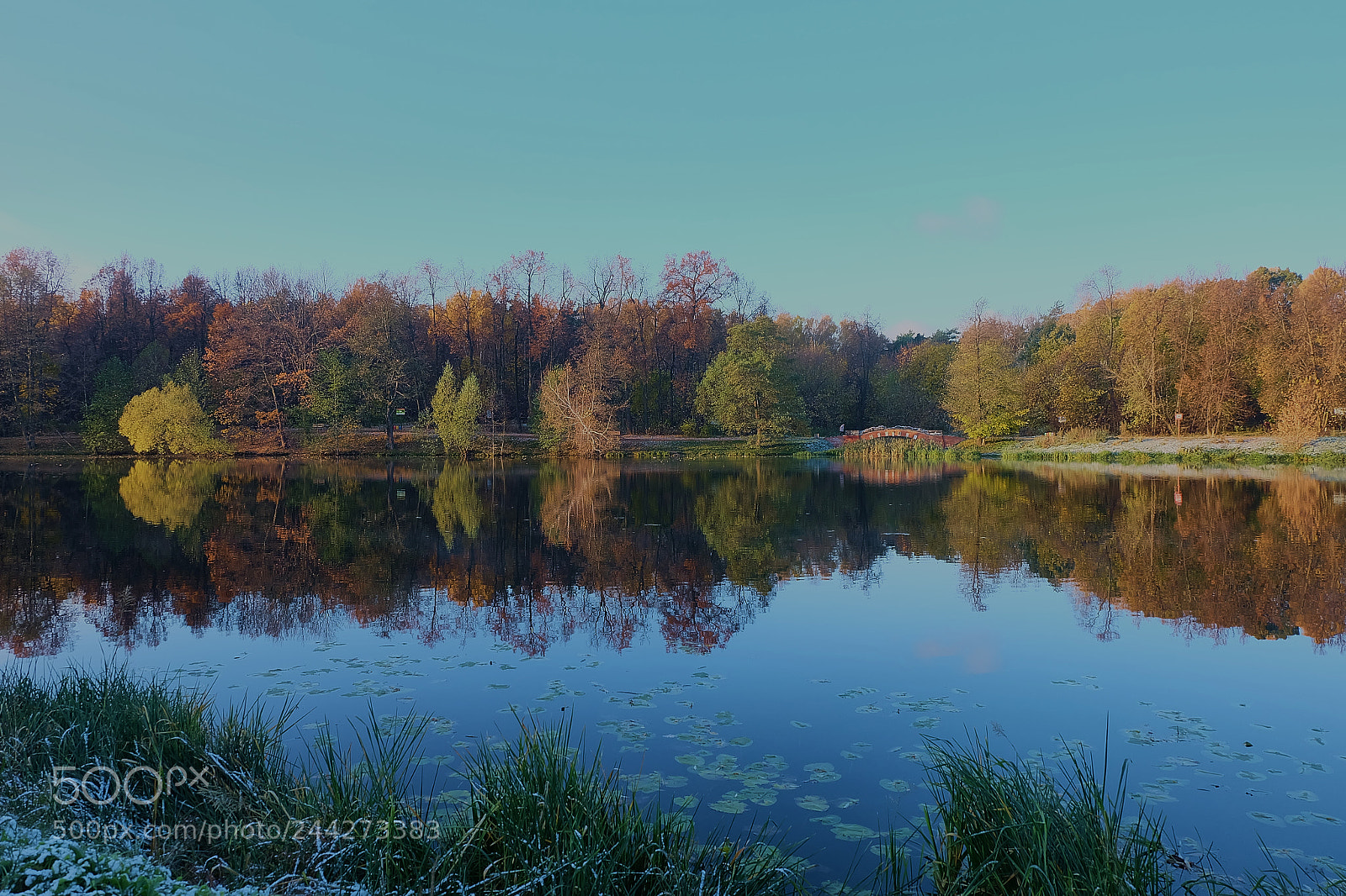 Fujifilm X-A1 sample photo. Colors of autumn photography