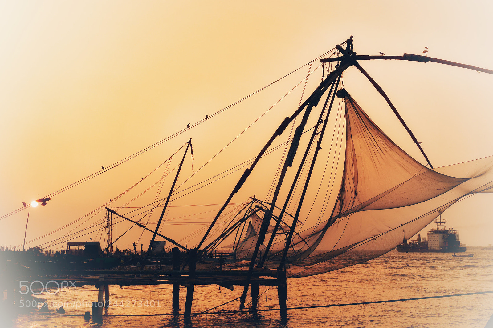 Nikon D500 sample photo. Chinese fishing nets in photography