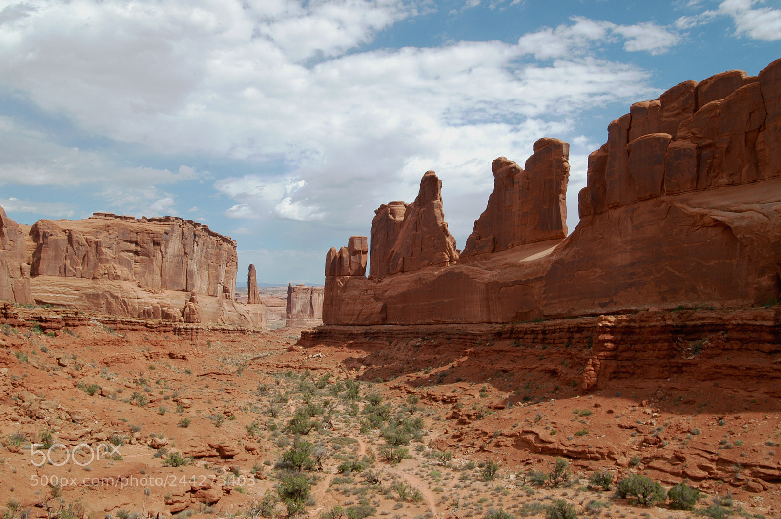 Nikon D100 sample photo. Red rock national park photography