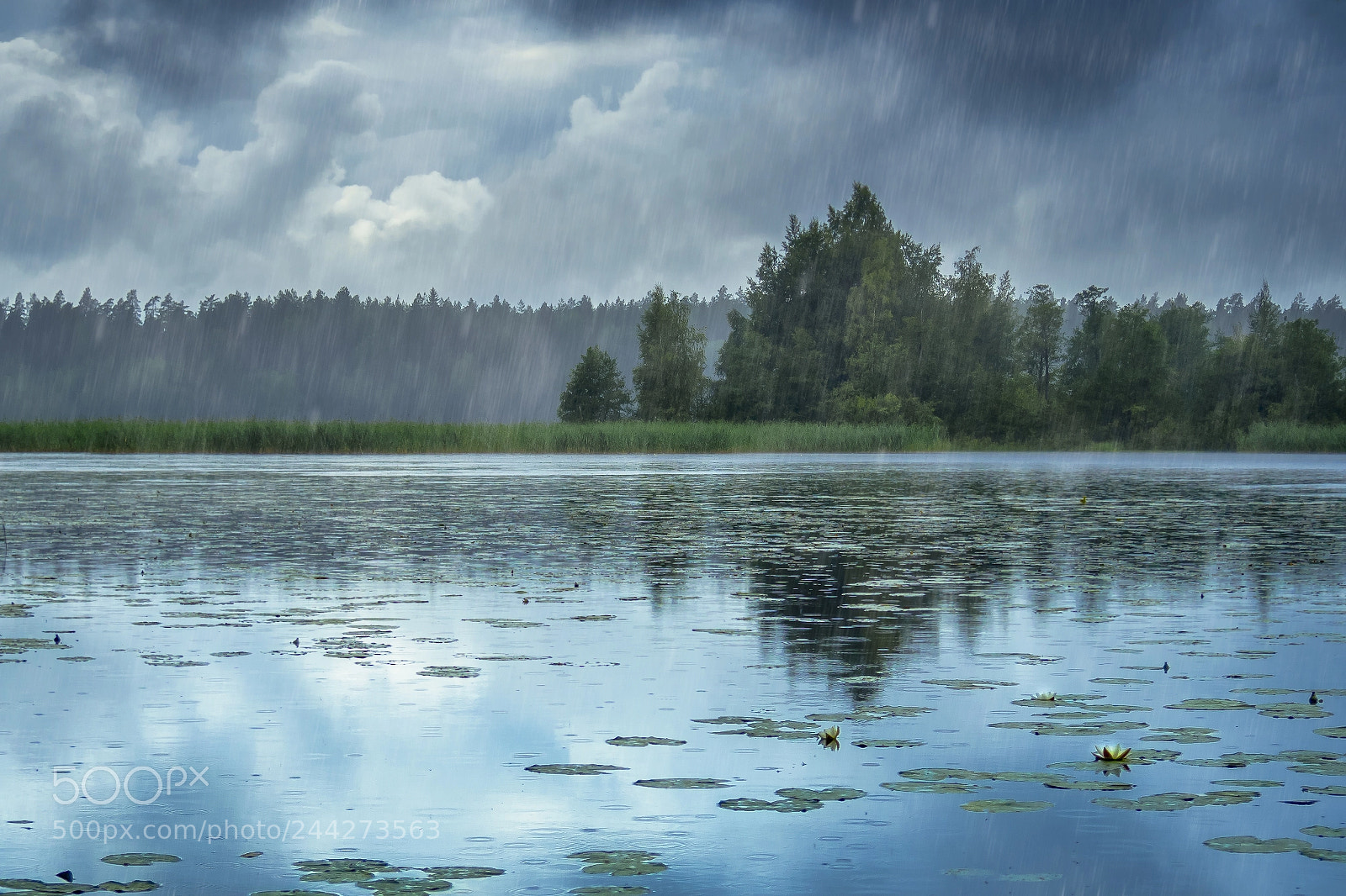 Olympus OM-D E-M5 II sample photo. And the rain in photography