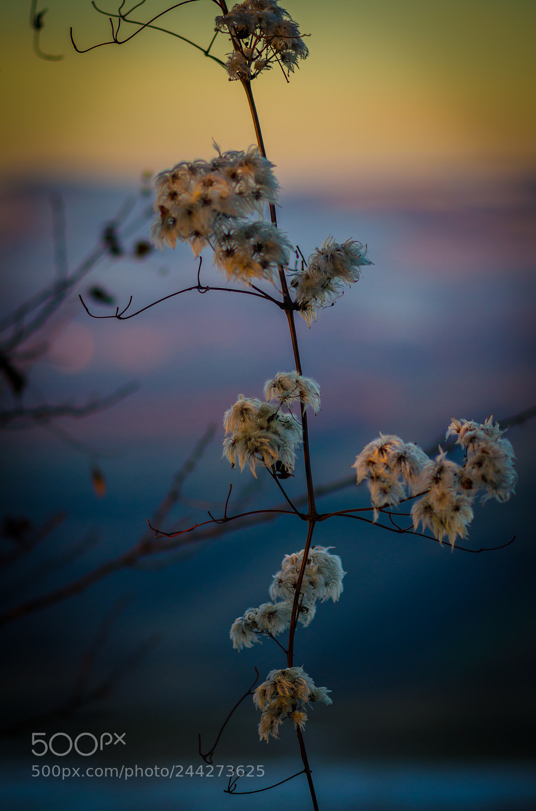 Nikon D5100 sample photo. Pihe portrait photography