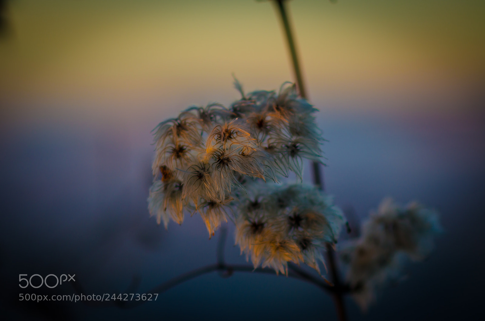 Nikon D5100 sample photo. Pihe landscape photography