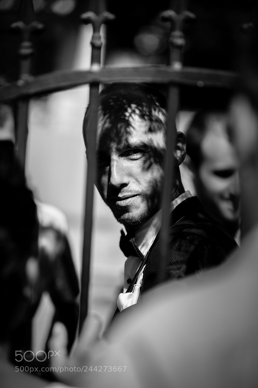 Canon EOS-1D X sample photo. Untitled photography
