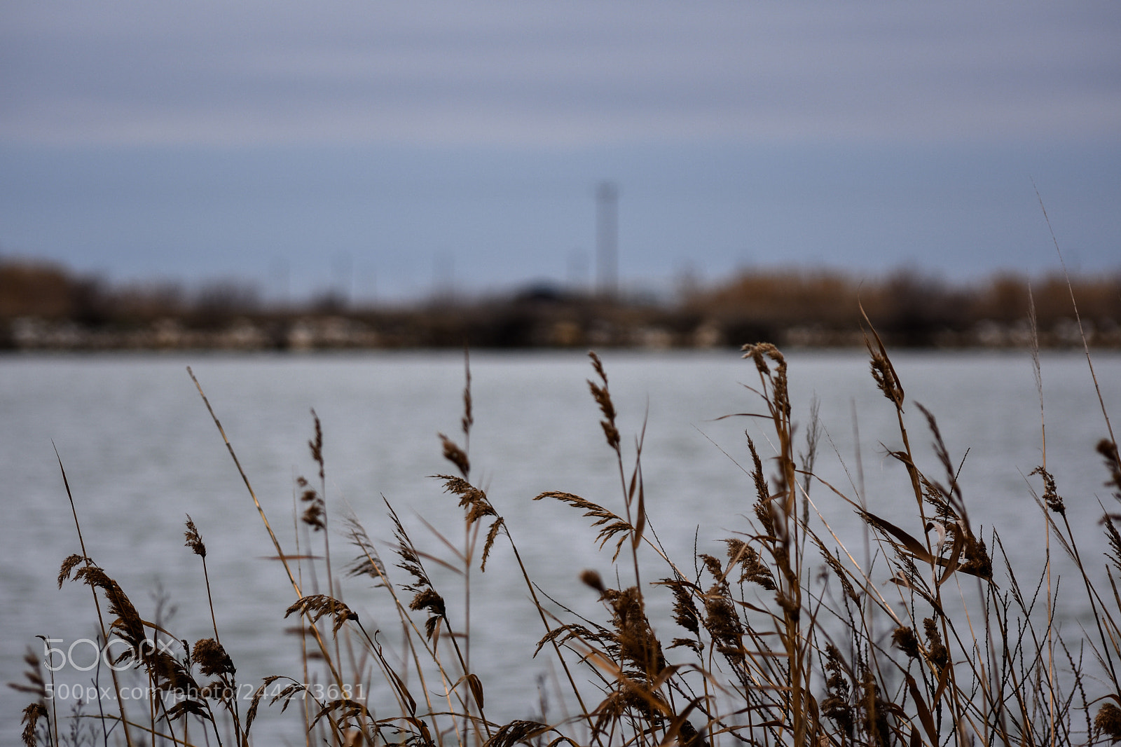 Nikon D3400 sample photo. Looking through photography