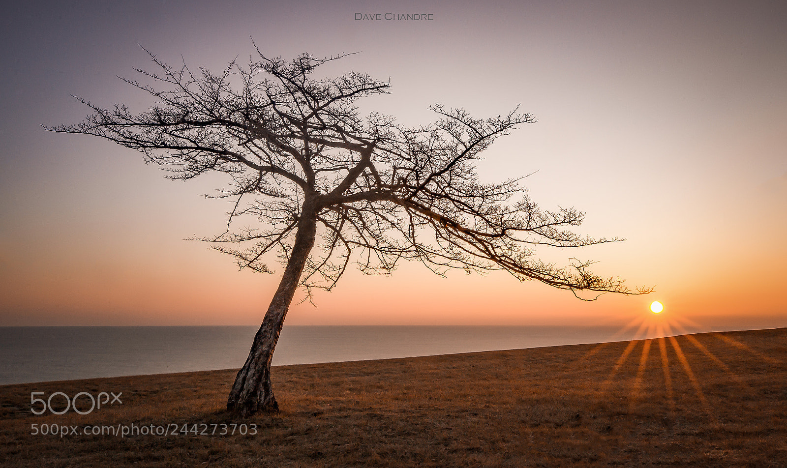 Canon EOS-1D Mark IV sample photo. Landscape caledonia photography