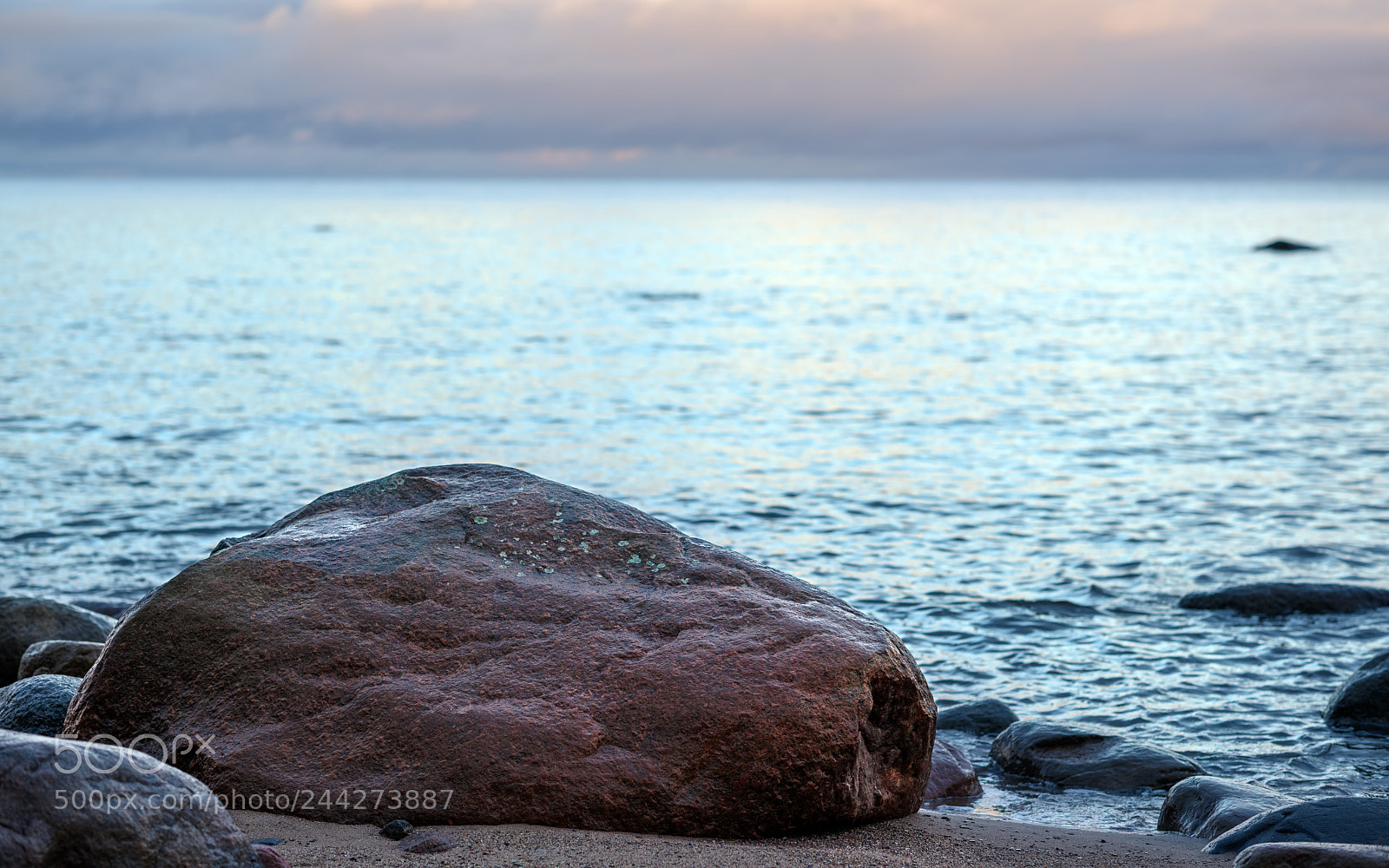 Nikon D810 sample photo. On the desert coast photography