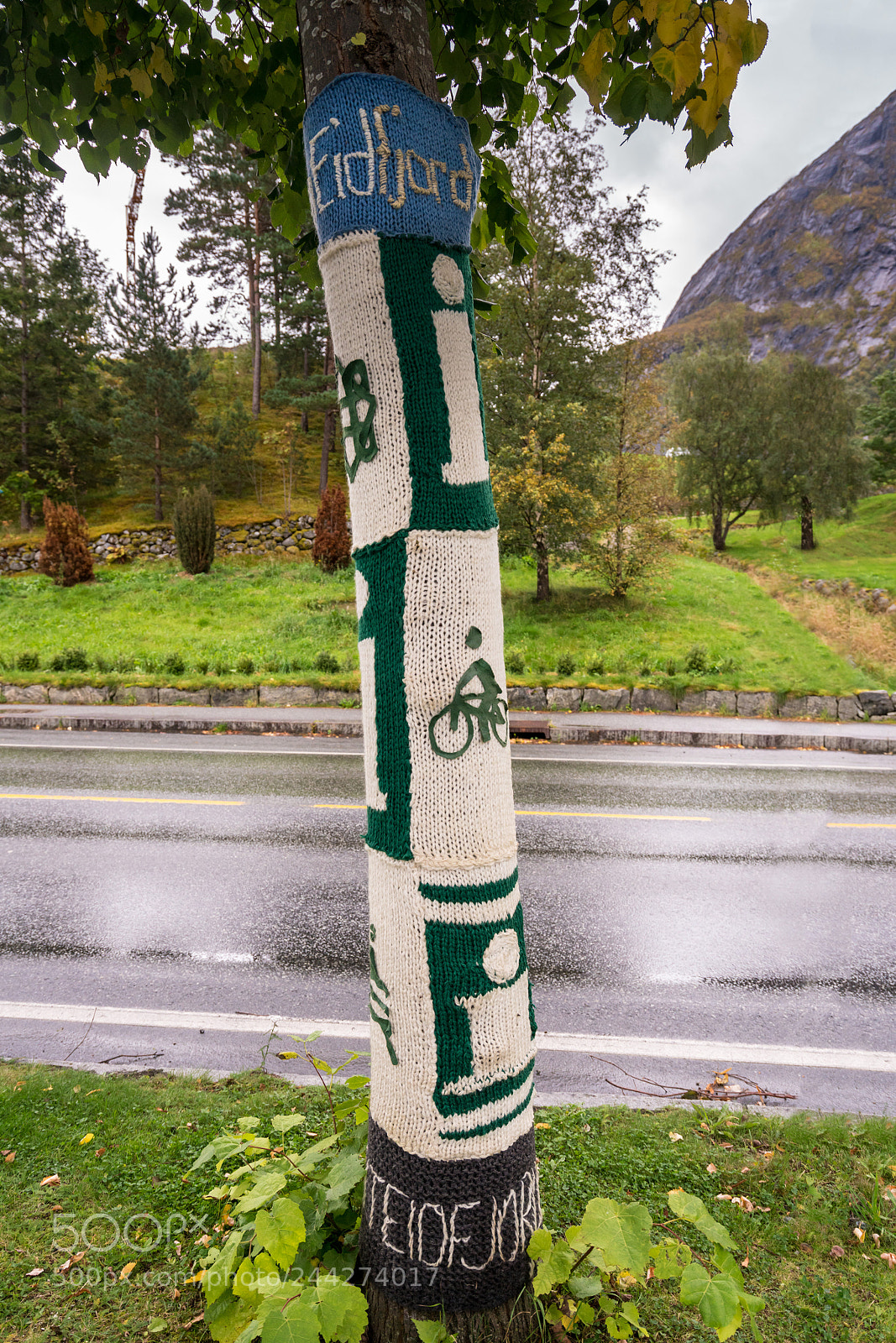 Sony a7R II sample photo. Woolen knitwear covers tree photography