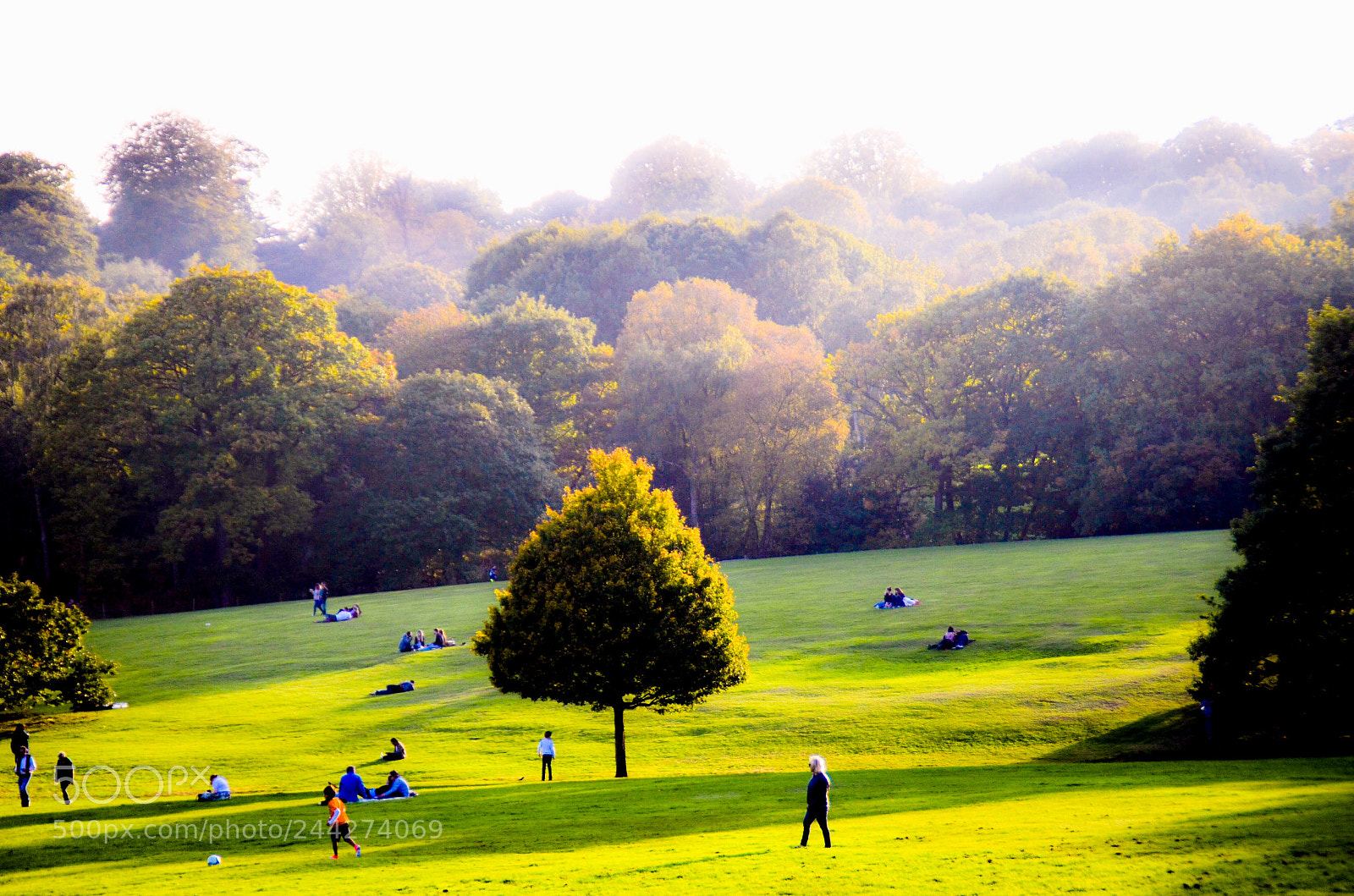 Nikon D5100 sample photo. Bright day photography