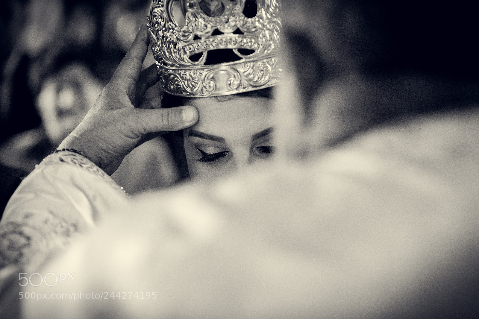 Canon EOS-1D X sample photo. Untitled photography
