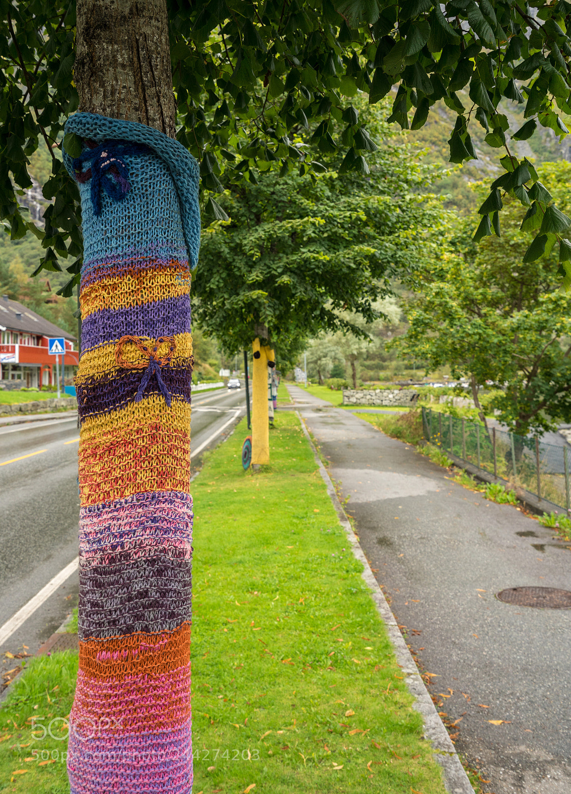 Sony a7R II sample photo. Woolen knitwear covers tree photography