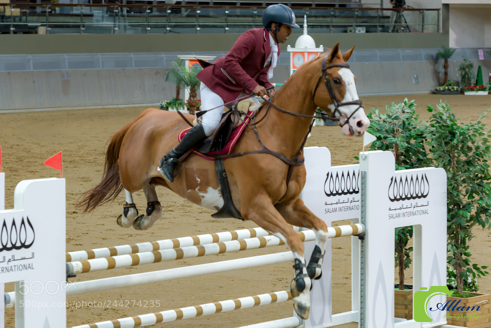 Nikon D610 sample photo. Untitled photography