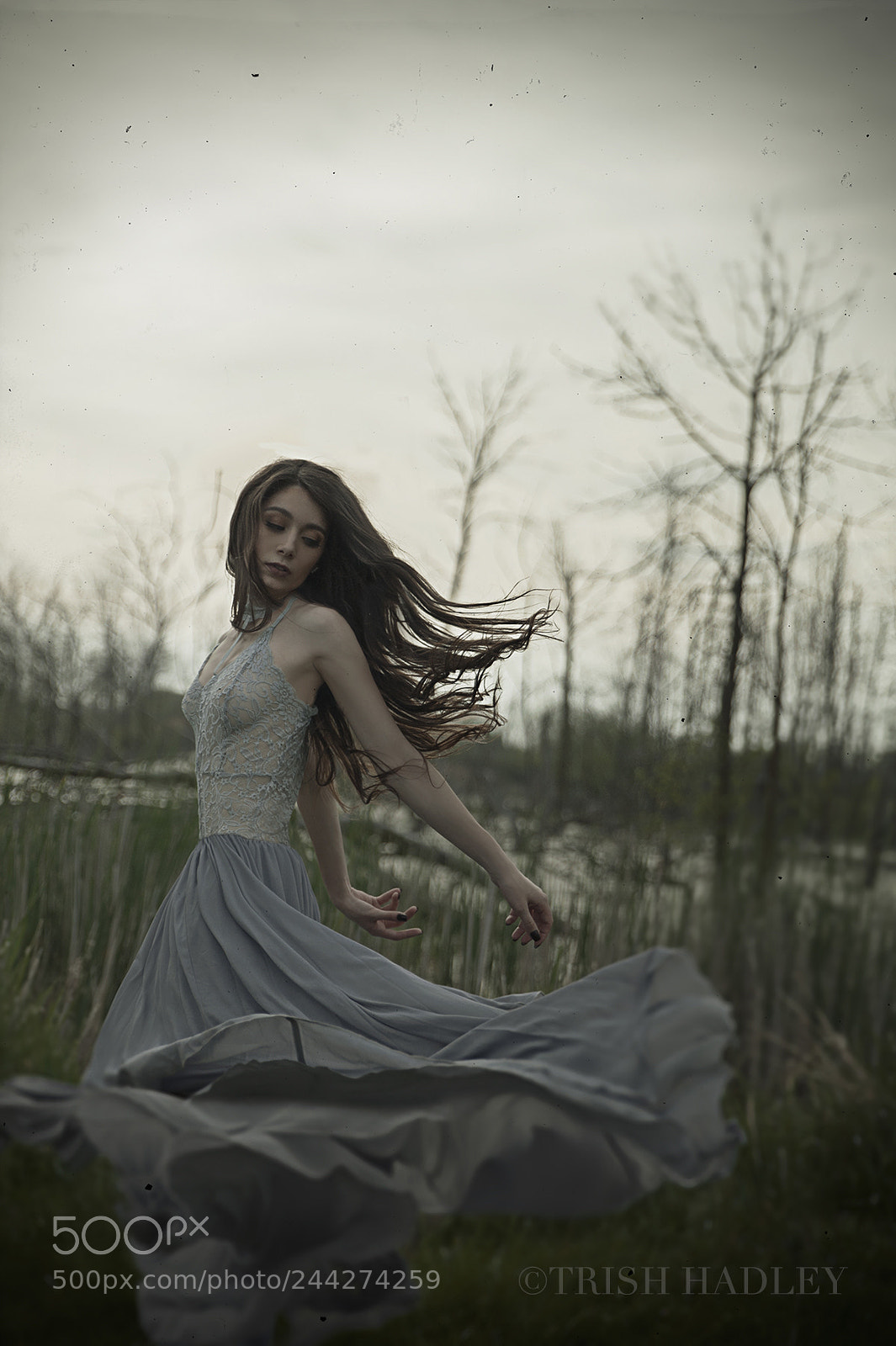 Nikon D700 sample photo. Windy day photography