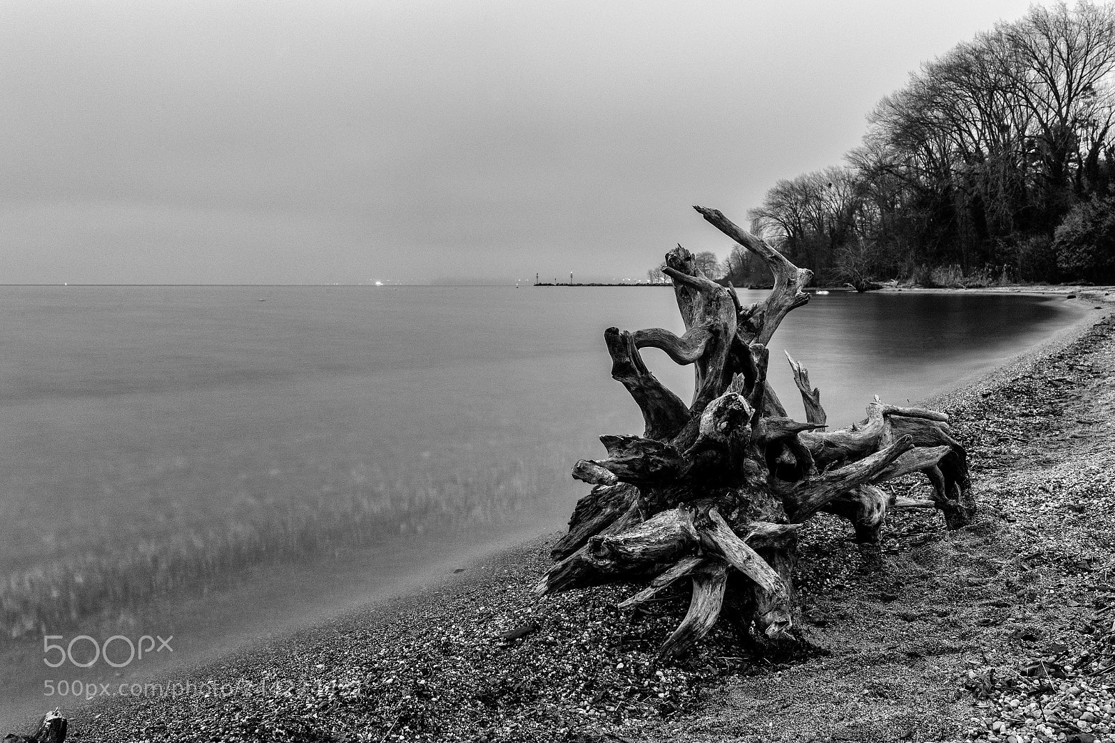 Nikon D5 sample photo. Le léman à st-sulpice photography