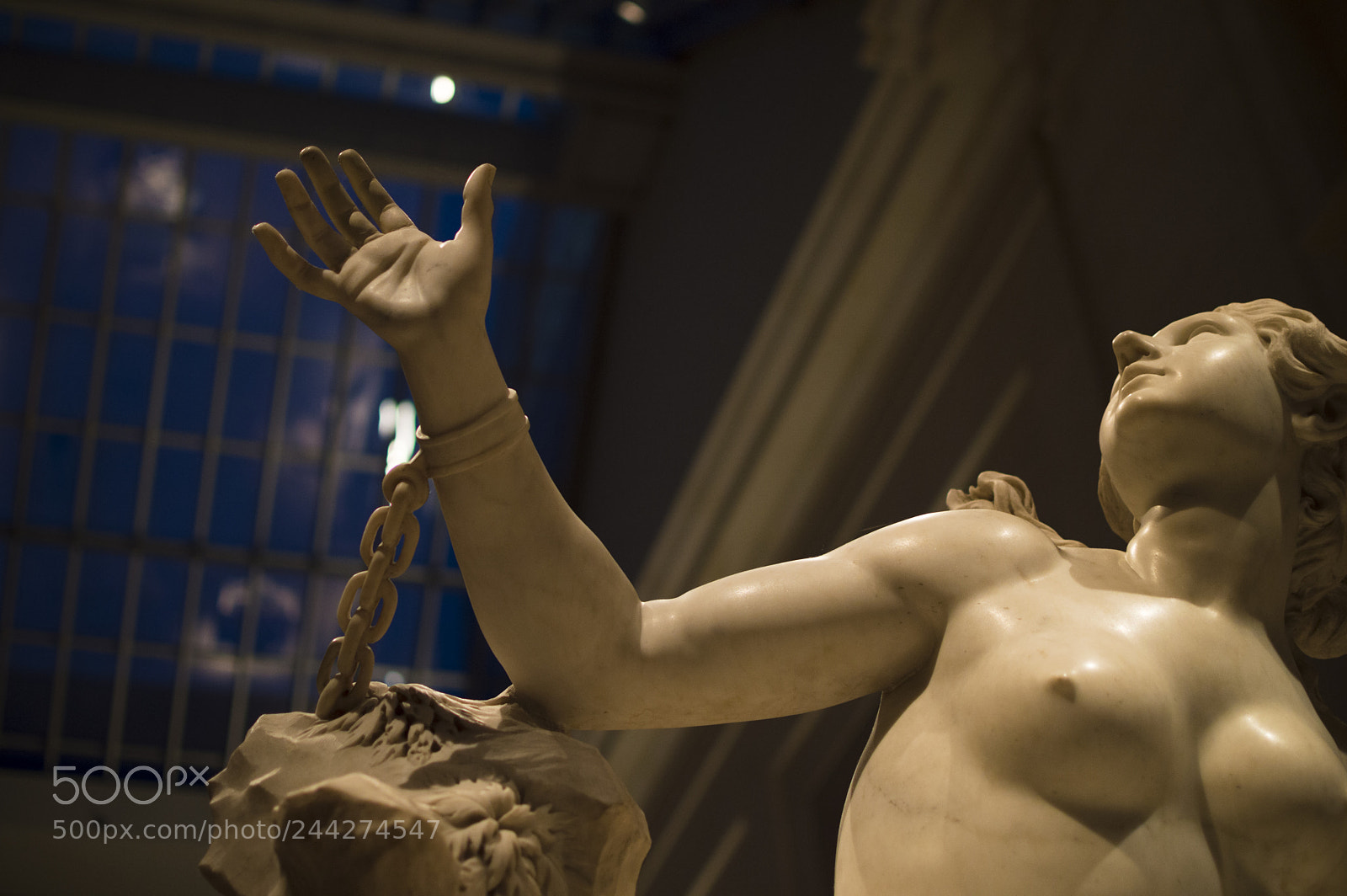 Nikon D3200 sample photo. Seeking freedom photography