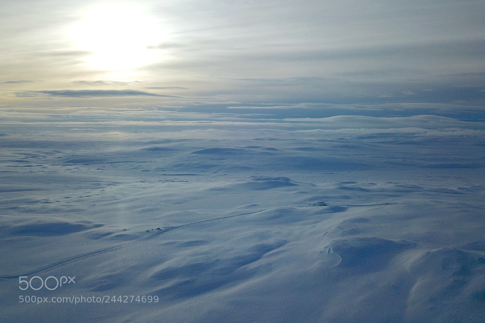 DJI FC220 sample photo. Dyranut, hardangervidda photography