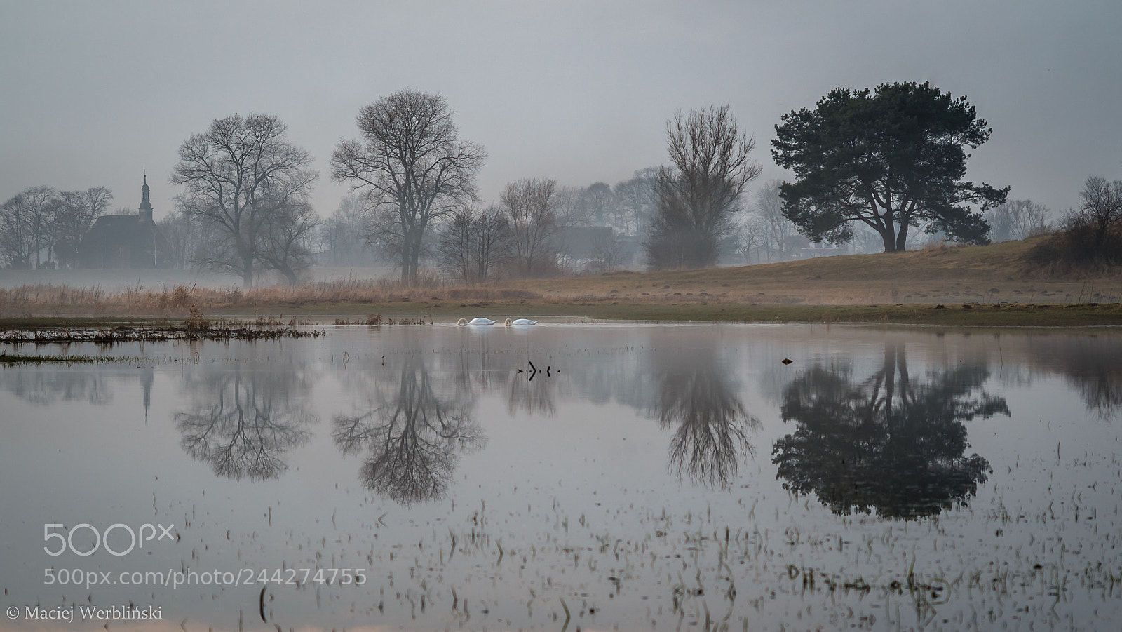 Pentax K-50 sample photo. Rogalinek photography