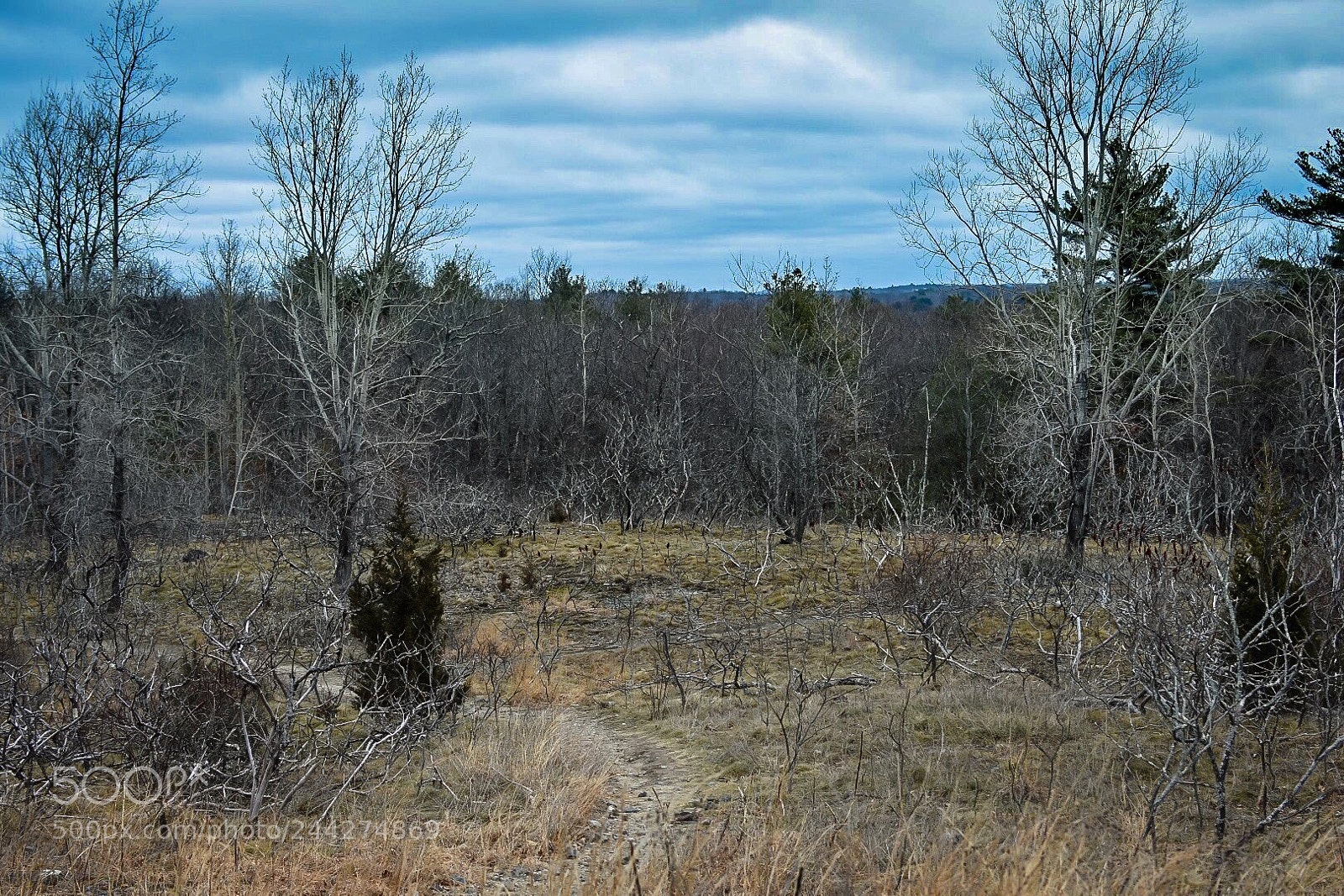 Nikon D7200 sample photo. Open photography