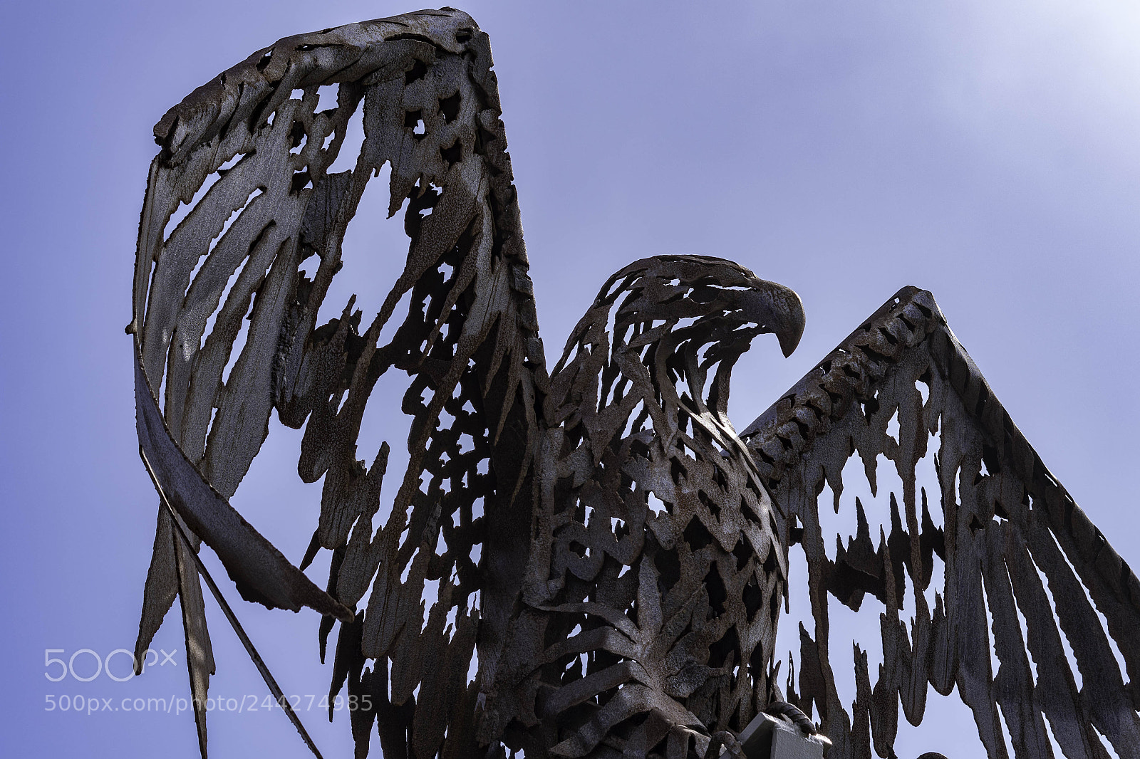 Pentax K-1 sample photo. Eagle photography