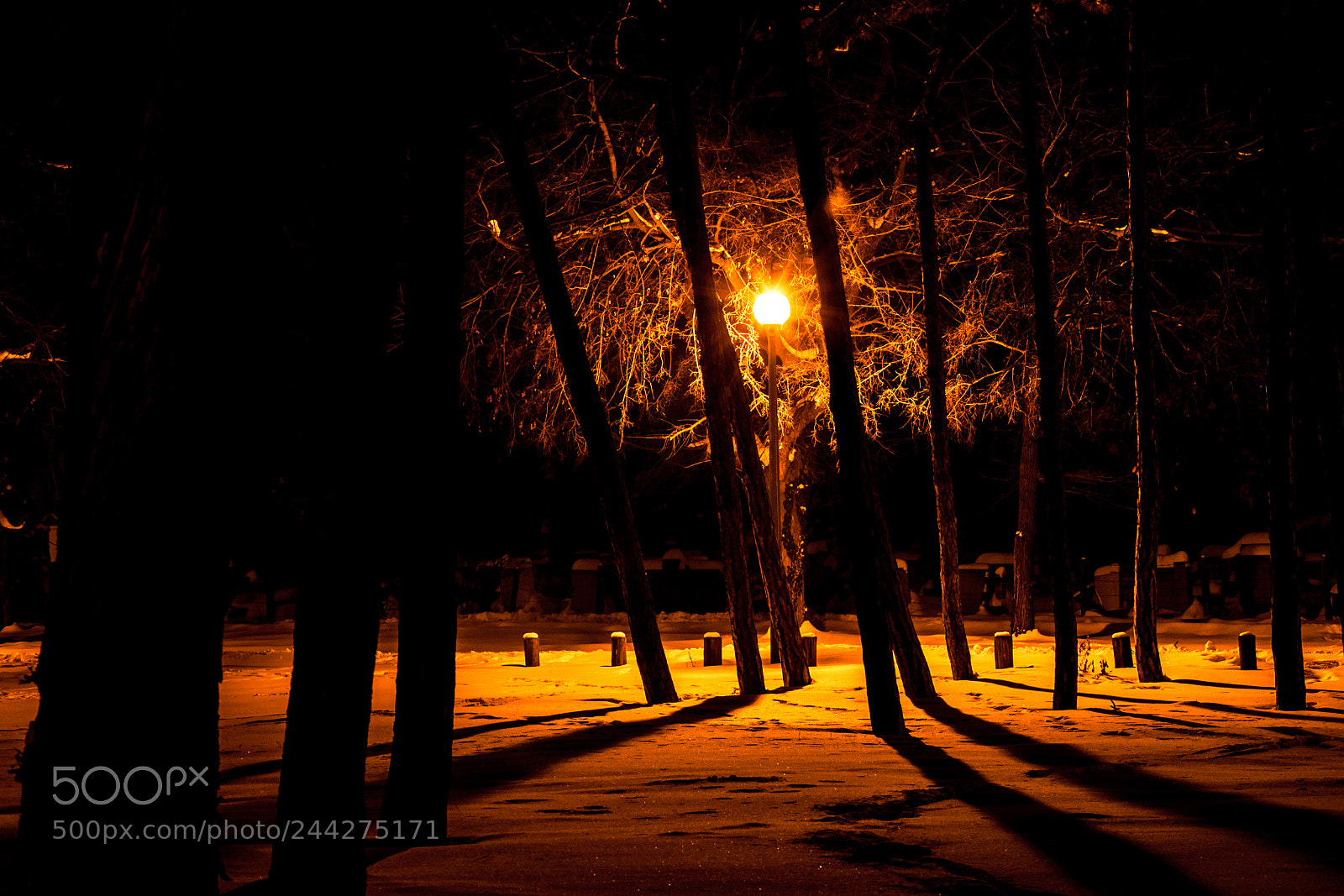 Nikon D5000 sample photo. Light photography