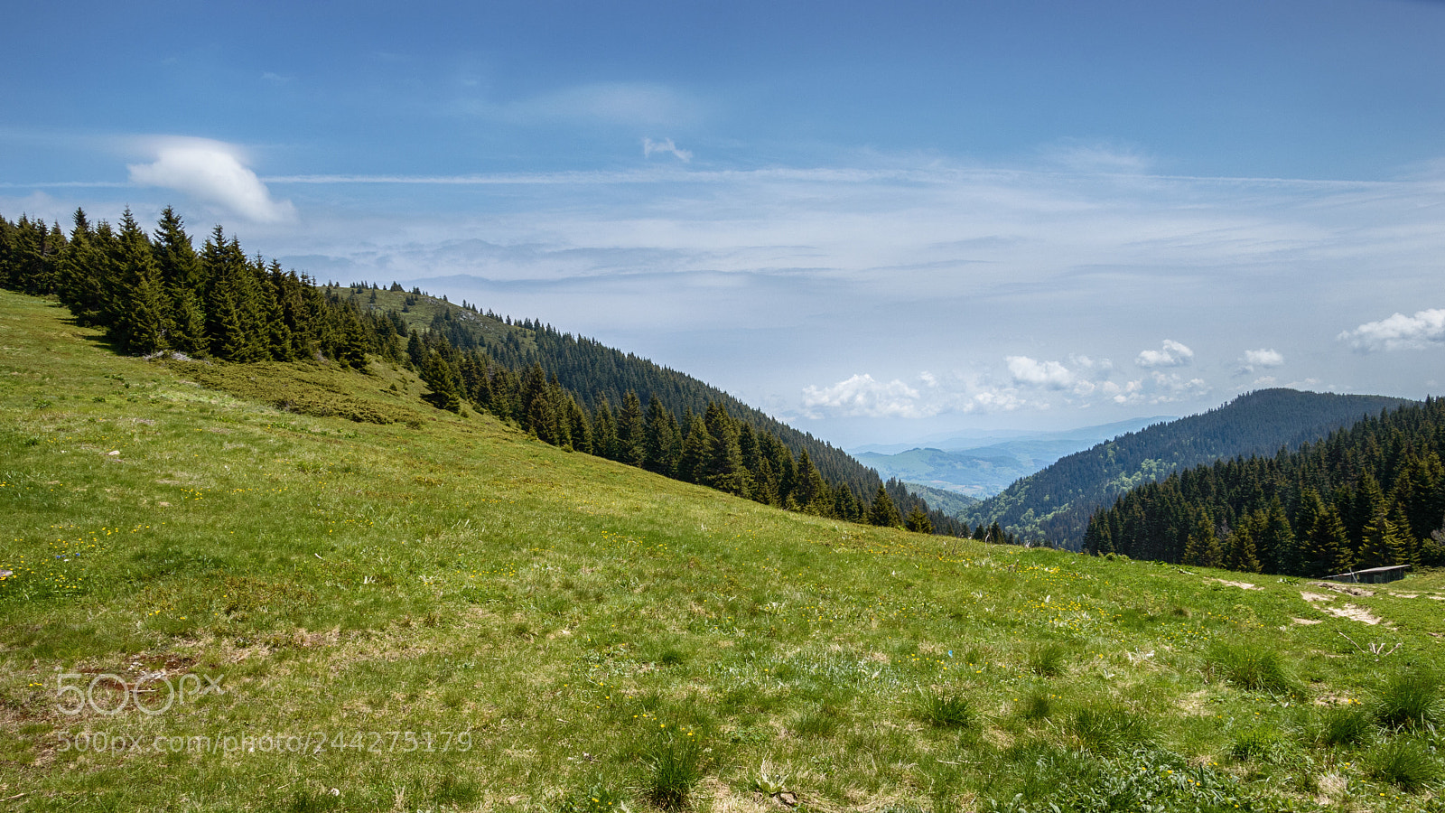 Nikon D3200 sample photo. Kopaonik, mountain in the photography