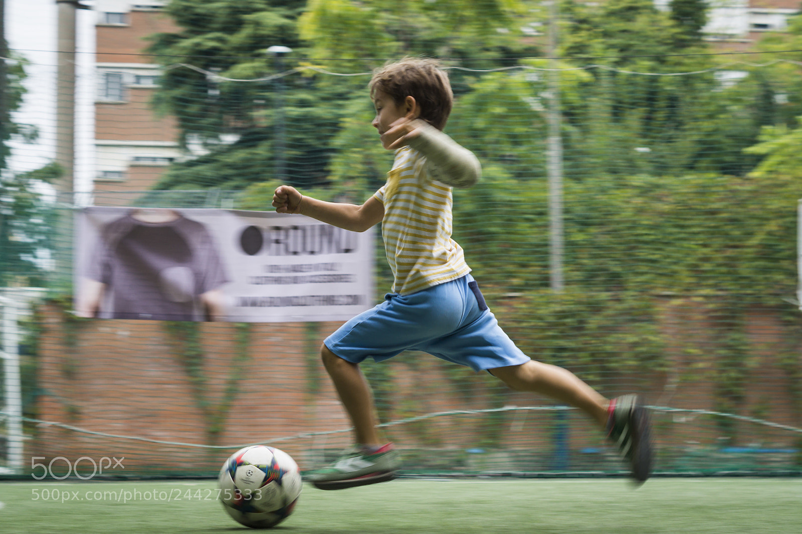 Sony SLT-A58 sample photo. Prima che inizi tutto photography