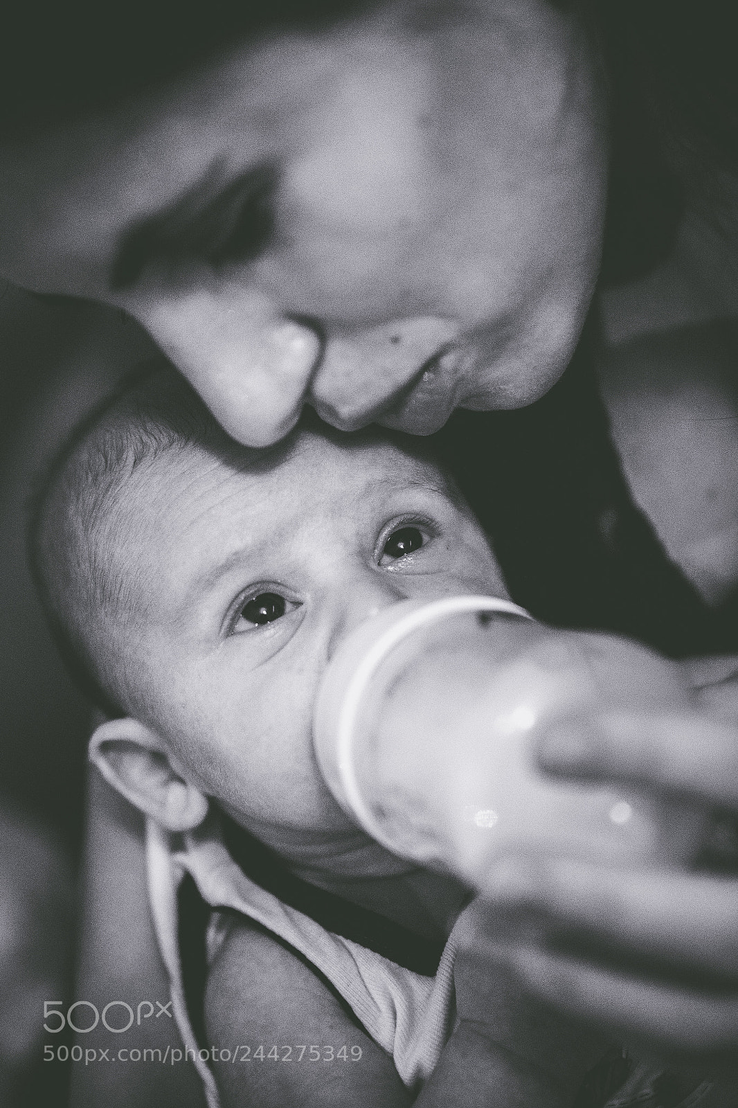 Canon EOS-1D X sample photo. Untitled photography